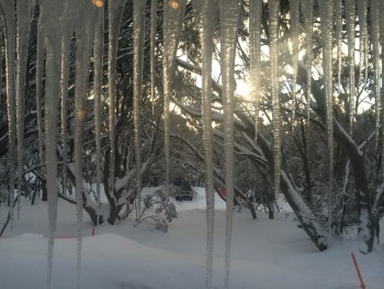 Skilib icicles